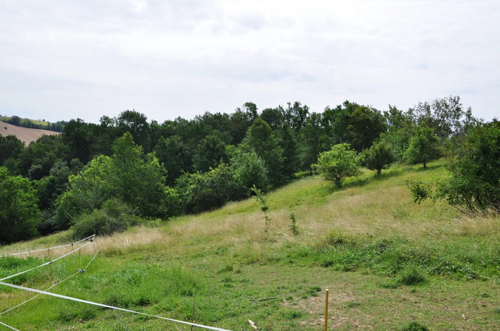 Collines de la campagne moissagaise